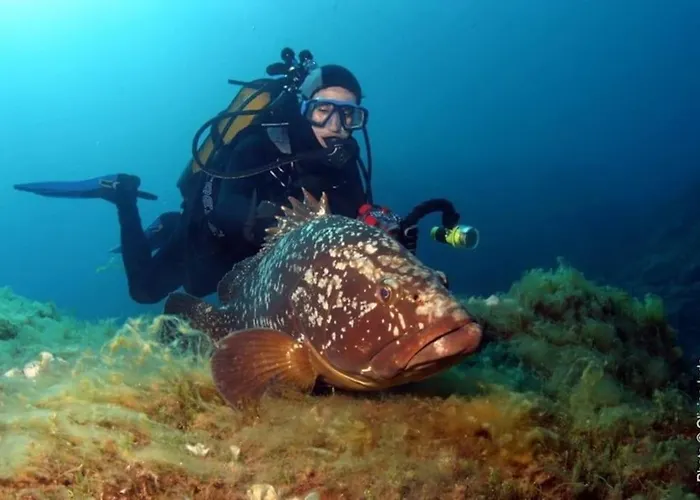 Lovely Flat In The Heart Of The Medieval Lejlighed *