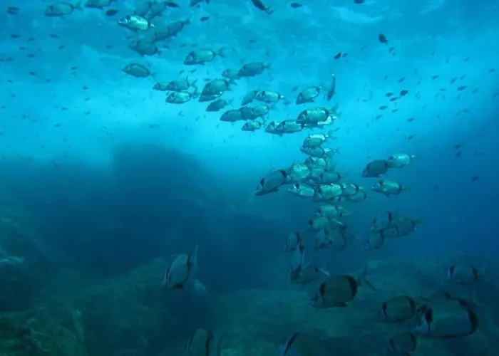 Lovely Flat In The Heart Of The Medieval Lejlighed