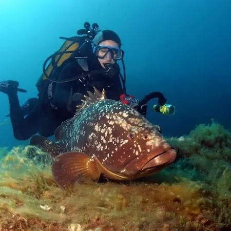 Lovely Flat In The Heart Of The Medieval Appartamento *
