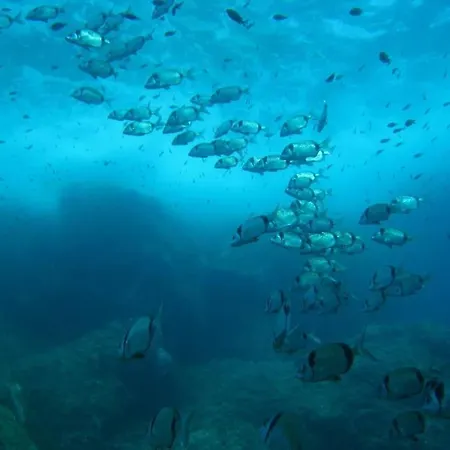 Lovely Flat In The Heart Of The Medieval Apartment