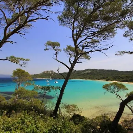 Apartment Lovely Flat In The Heart Of The Medieval Hyères